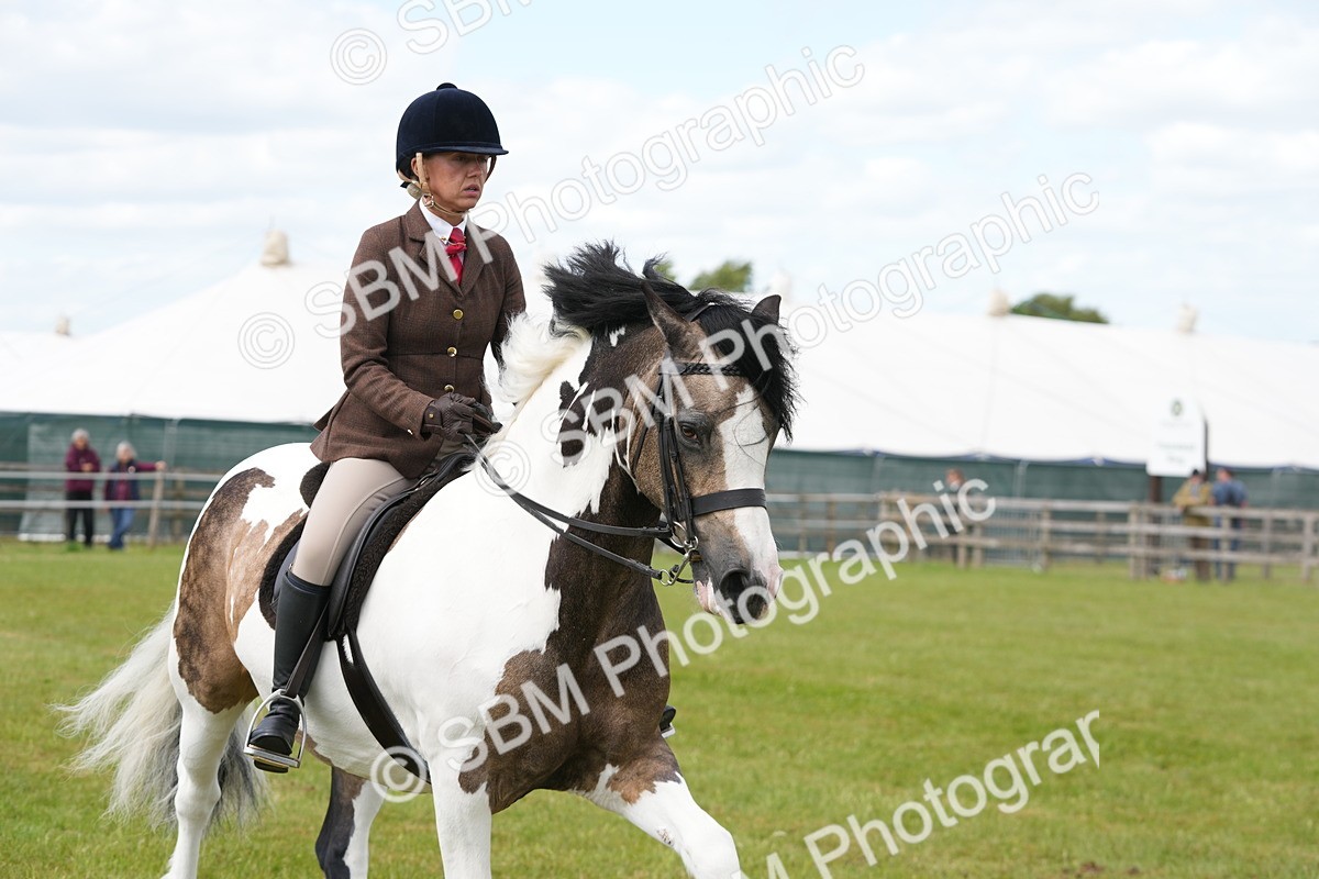 SBM_17229 - Class 107-108 - LIHS BSPS Performance Coloured Horse Pony