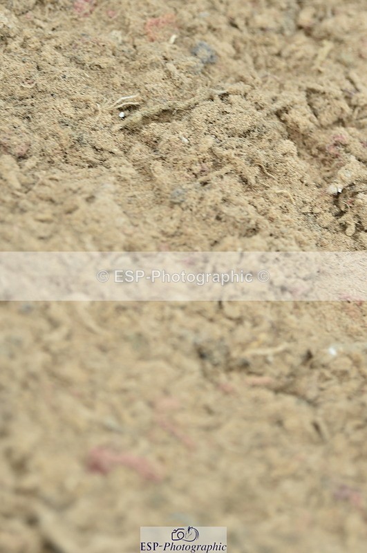 230611A-104152-04723 - Cls 32 85cm Amateur Qualifier