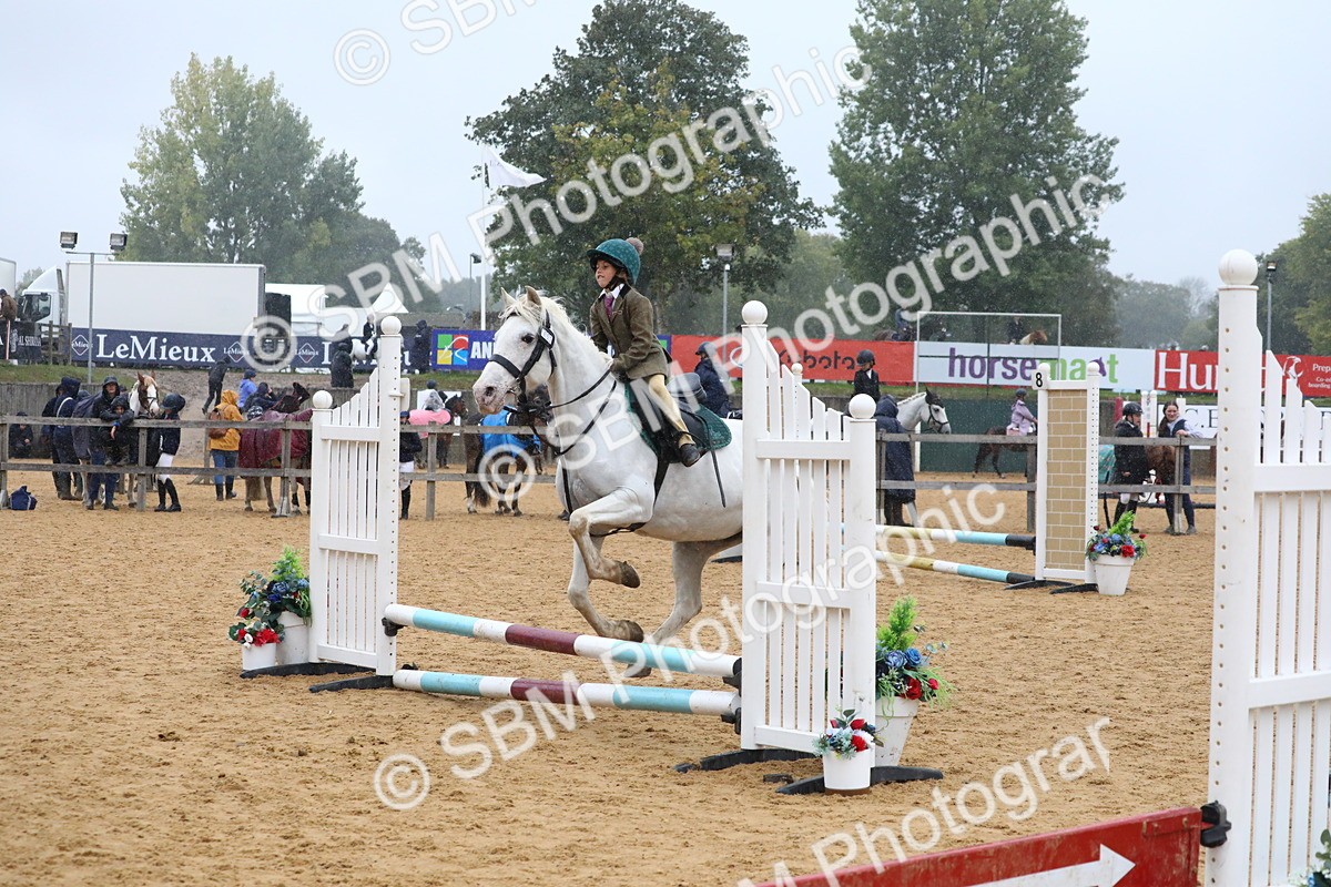 SBM_71461 - J4 - Mini Tour Junior Pony 45cm Championship