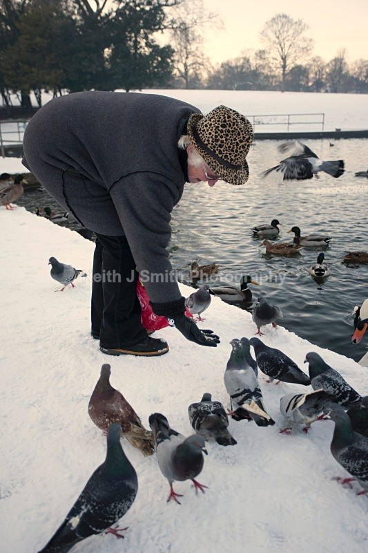 YR6M6638 - Abington Park & Northampton Town.