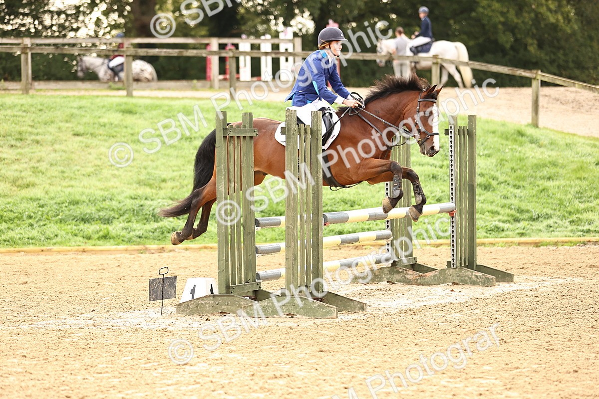 SBM_58228 - J41 - Grand Tour Horse & Pony 95cm