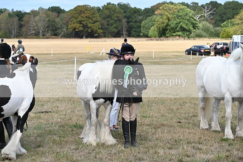 WJ6_6728 - Class 20 In-hand Cob