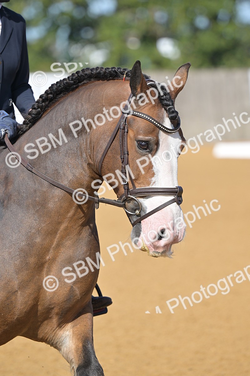 SBM_03944 - D2 - Small Tour Championship Intro 2
