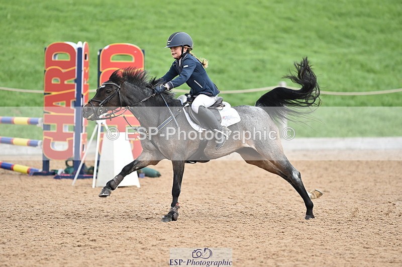 230902A-112006-00674 - Cls 2B Pony Small 80cm