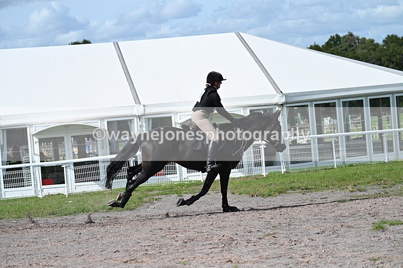 WJ7_2245 - Time 13:17 to 13:53