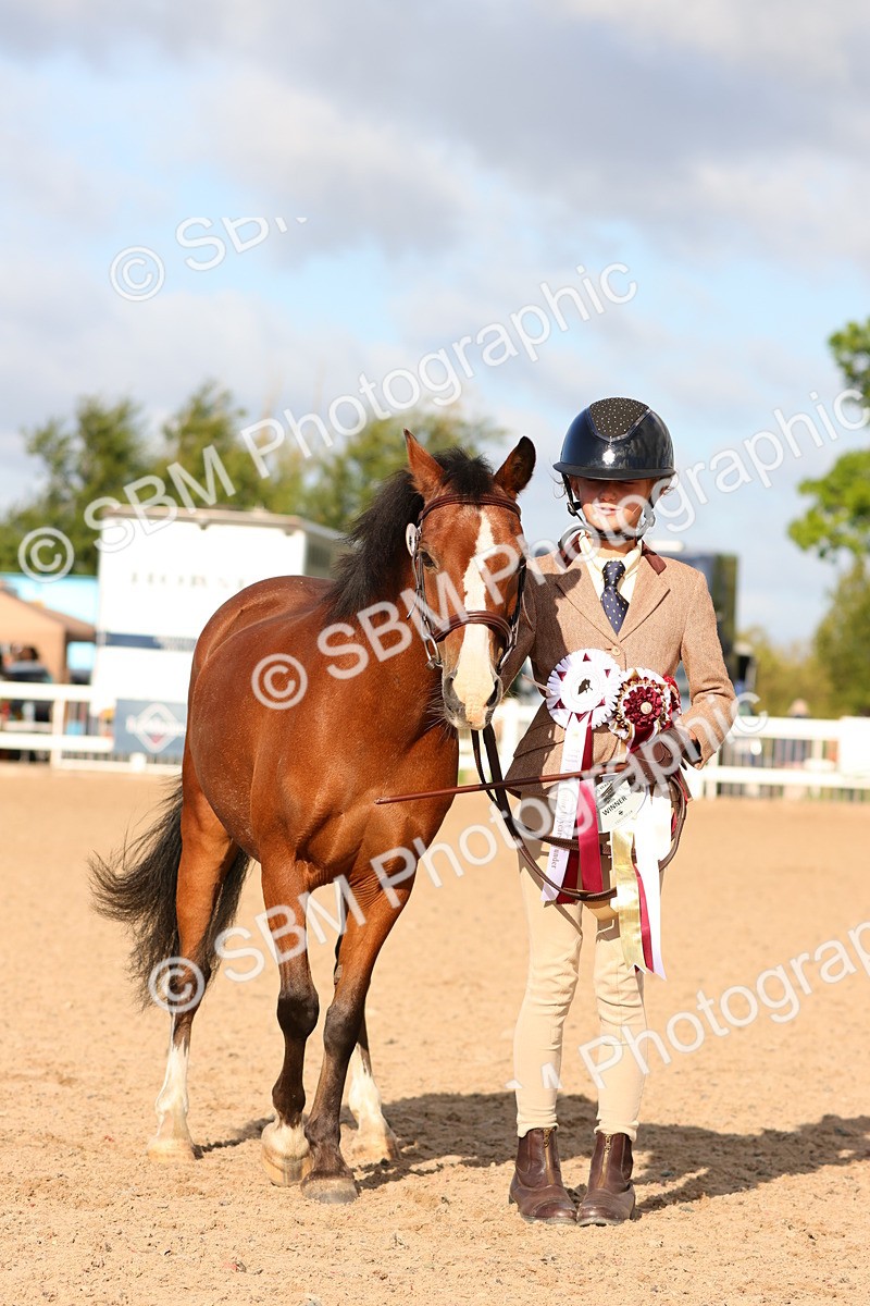 SBM_08686 - Class 203 - Young Handler 10 Years and Under