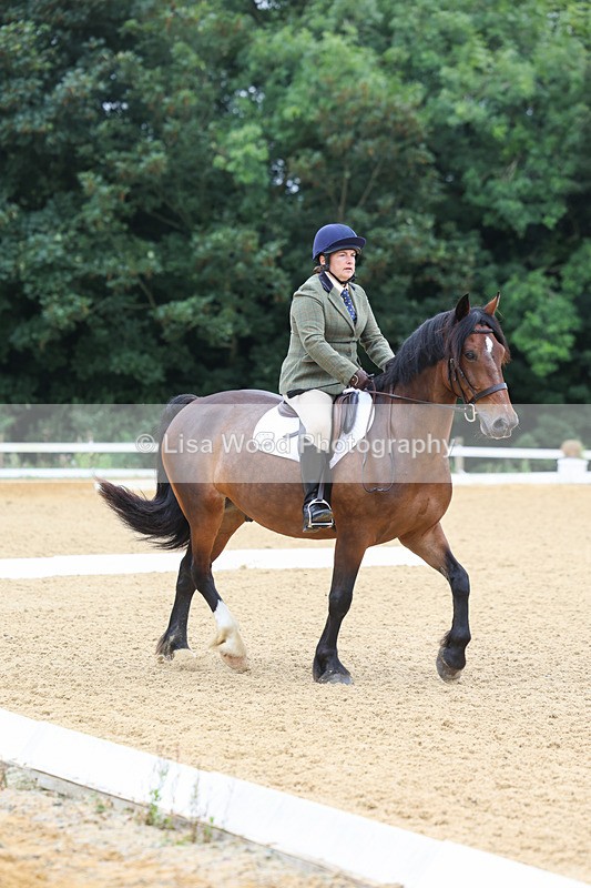 3E7A4586 - Class 1: Intro 4 2024 section A