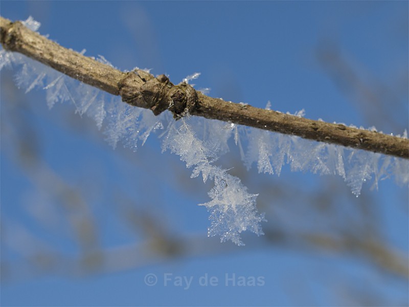  - Nature's Wonders