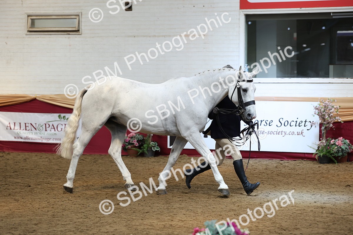 SBM_23586 - Class 904 - Supreme Final - Ridden Diamond