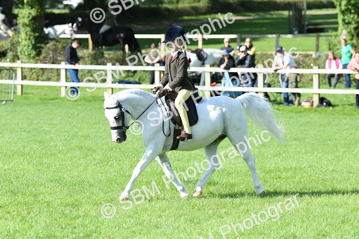 SBM_50301 - S21 - Novice & Newcomers 1st Ridden Pony