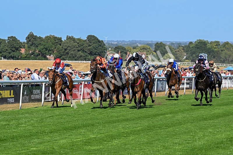 120826-Race 6-Rumble Ruby-7460 - Race 6 16.45pm Nation Radio Yorkshire Handicap