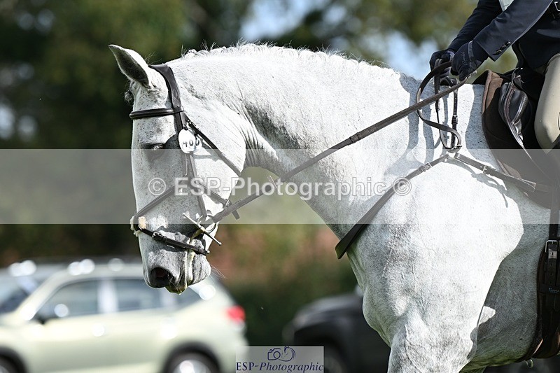 231020-121515-08036 - 485-BGS.MISTER.MUSCLE-Sally.Corrigan-DR