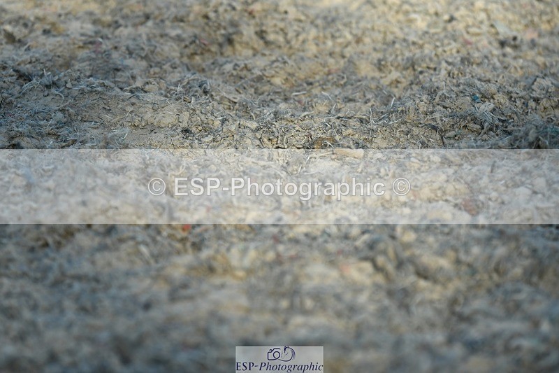 230623-181809-03216 - Cls 11 FEI PSG