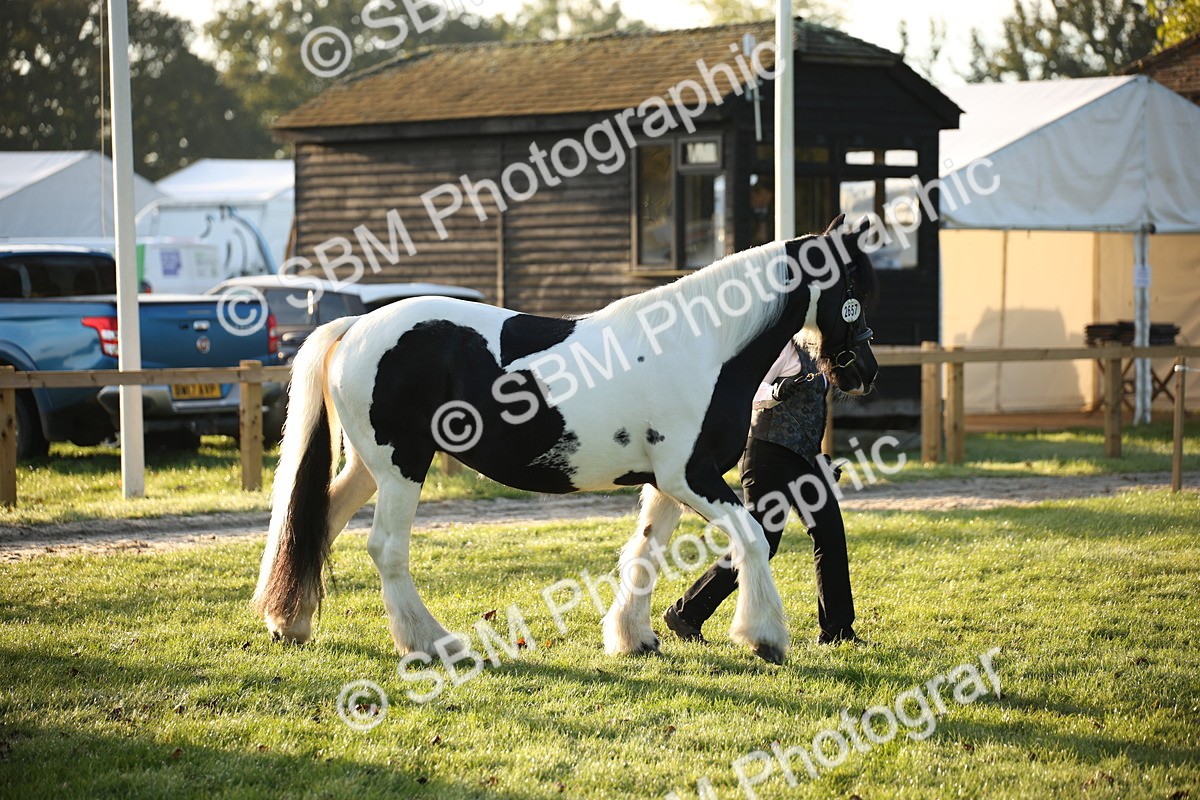 SBM_32261 - S8 - Best Turned Out