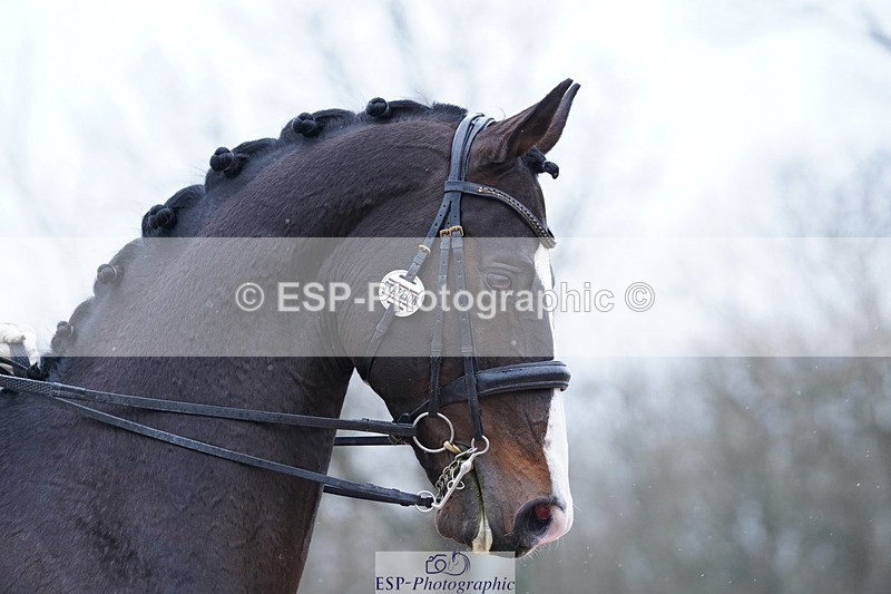 250214-121026-00520 - 211-Hope.Hughes-Catherston.Oakley