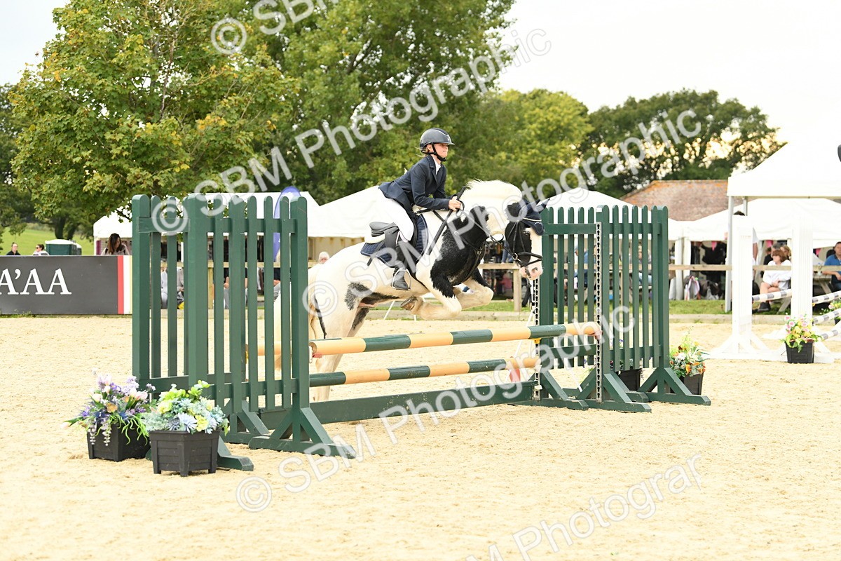 SBM_73140 - J16 - Junior Pony 75cm Championship
