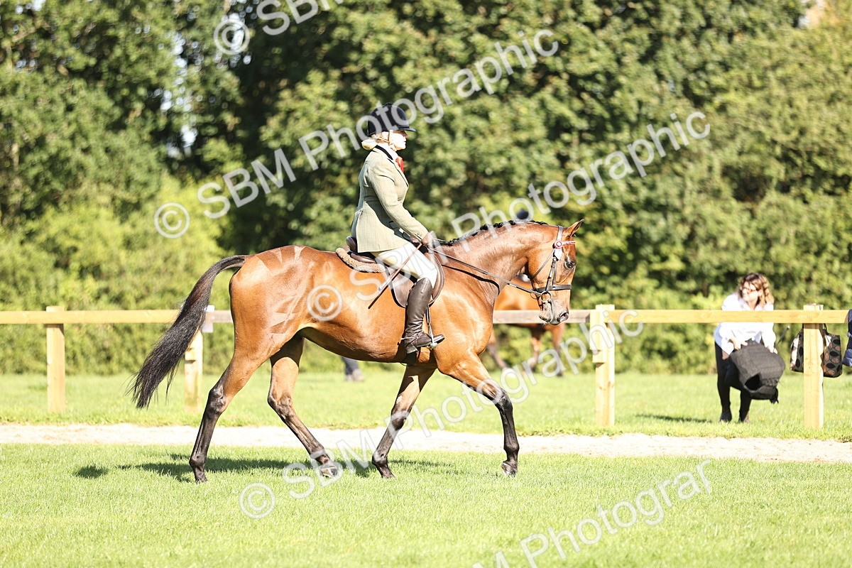 SBM_16895 - S2 - TSR Ridden Pony Showing