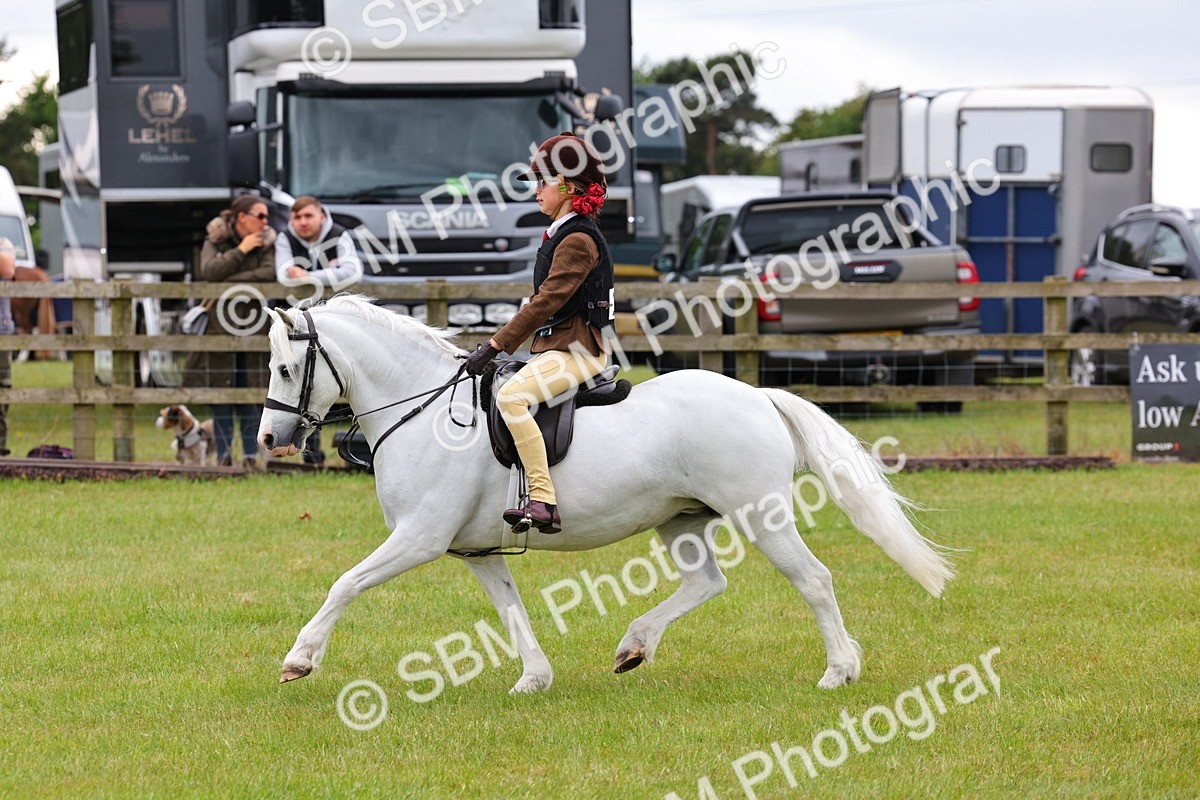 SBM_08719 - Class 42-43 - LIHS BSPS Heritage Working Sports Pony