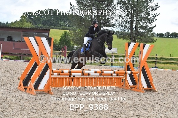 BPP_9388 - CLASS 2 Club/ Unaffiliated 80cms Open