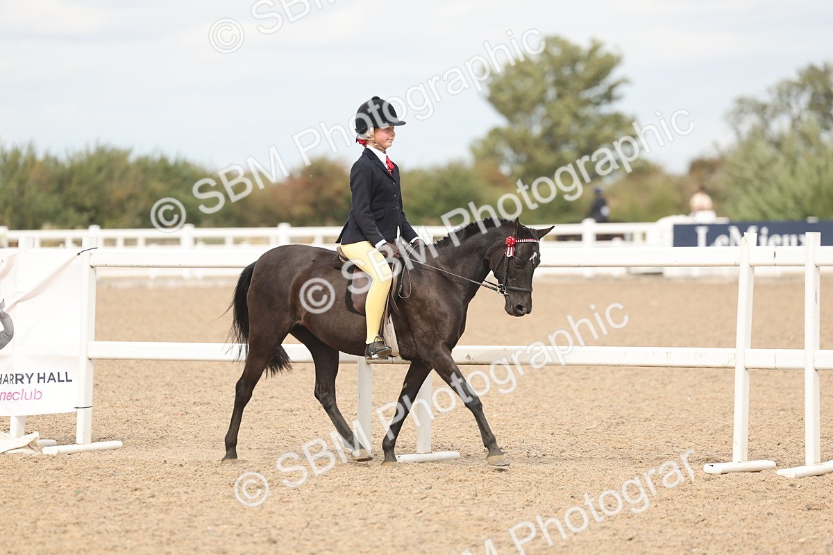 SBM_15971 - Class 311 - Ridden Show pony-Show hunter Pony
