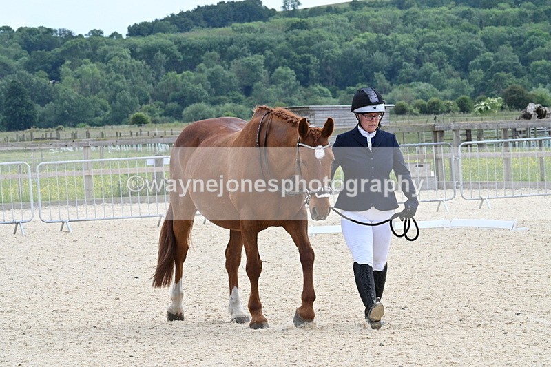 WJ7_8003 - Time 15:39 to 16:08