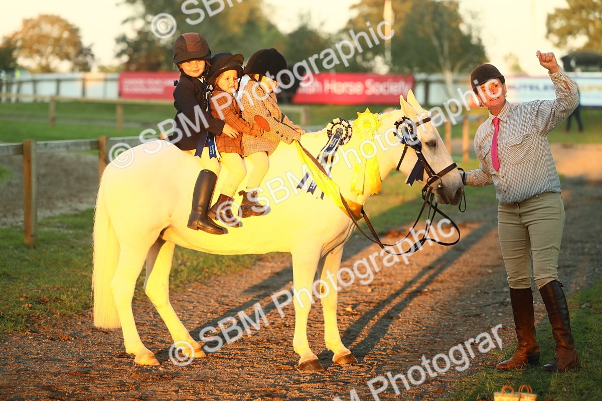SBM_56740 - Fun & Versatile Supreme Championship