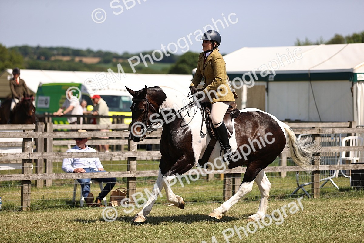 SBM_17864 - Class 81-83 - TSR Ridden Amateur of the Year - Horses