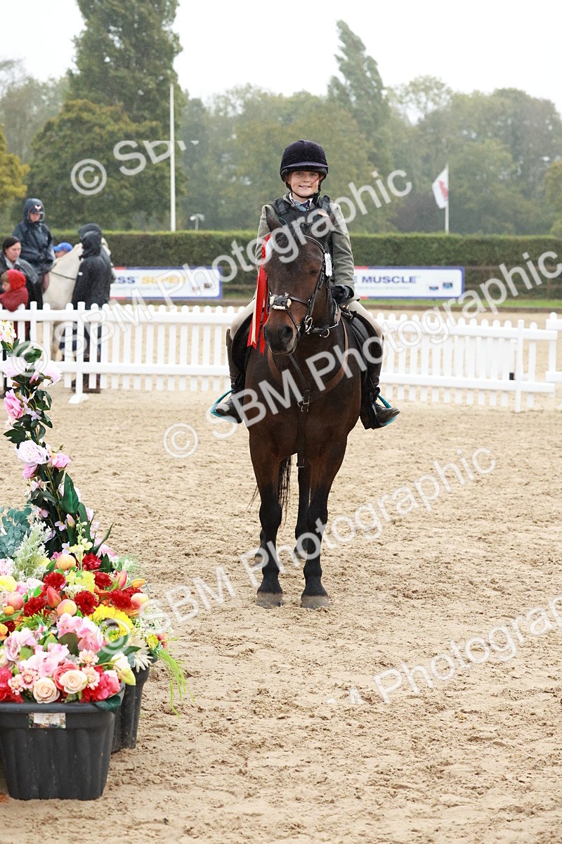 SBM_73627 - Supreme Championship Junior Pony 60cm & 65cm