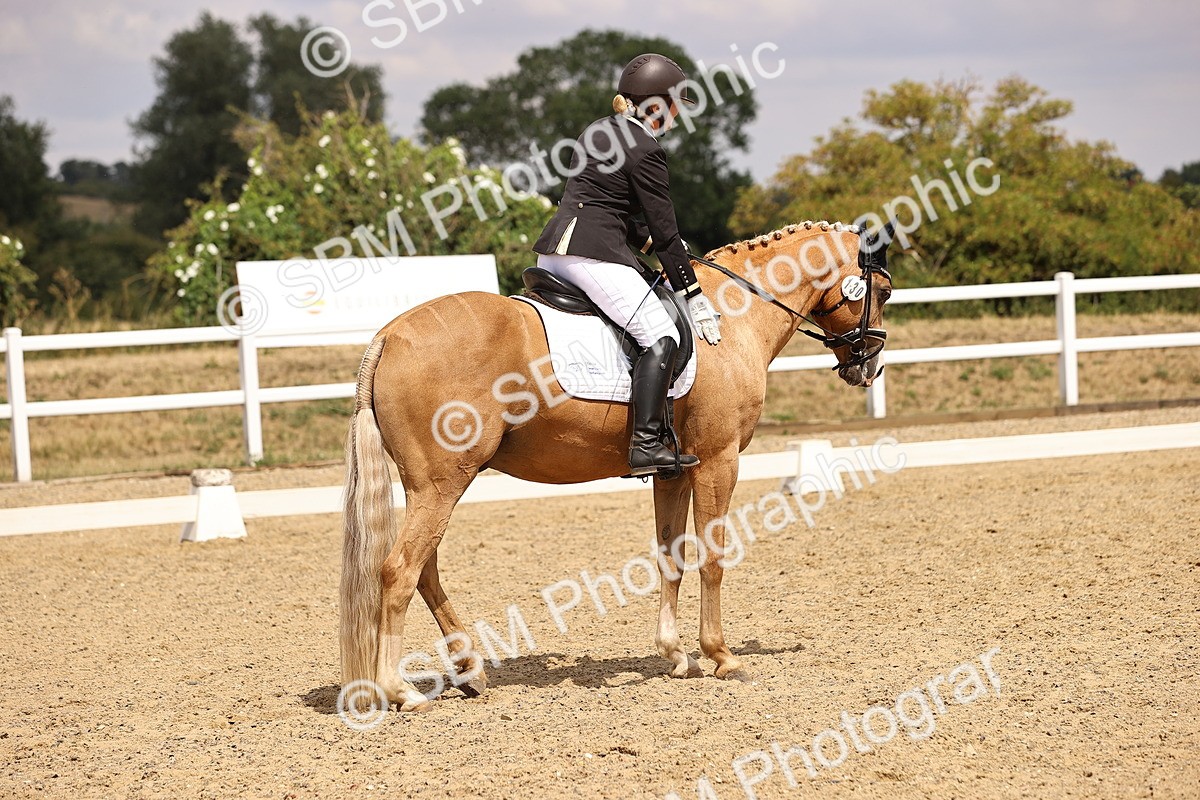 SBM_008800 - Elementary 5 - 12.48-14.08