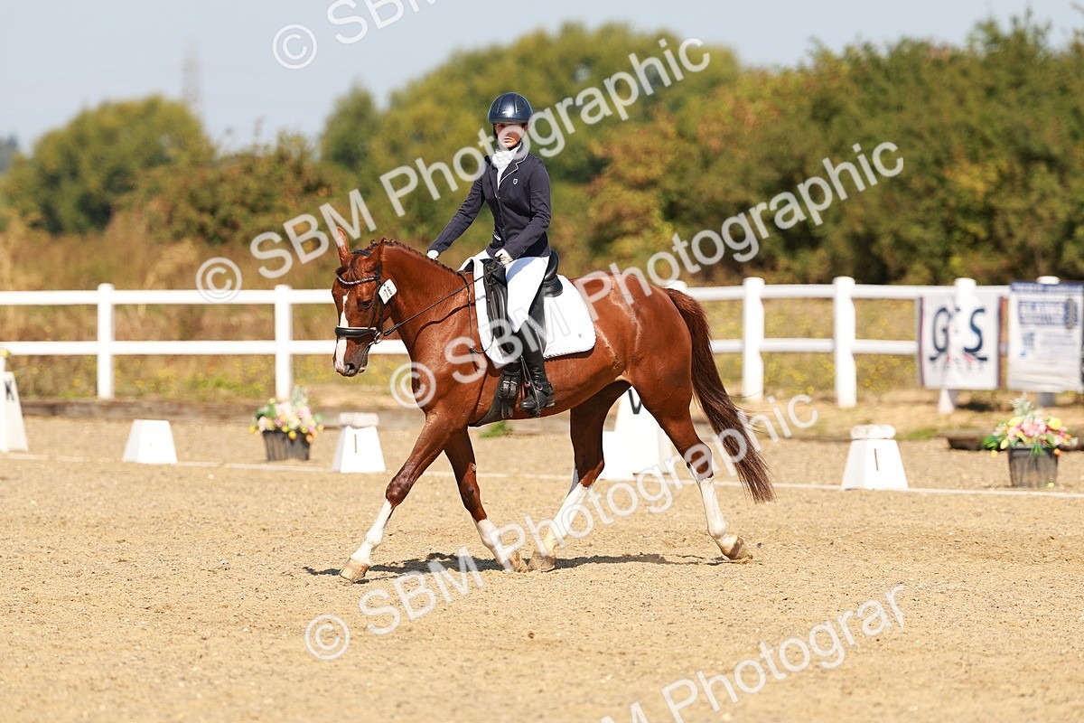 SBM_017611