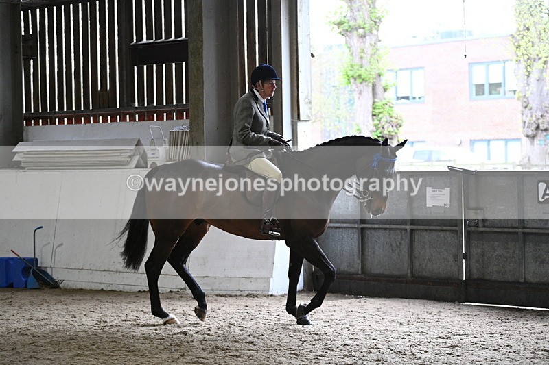 WJ7_3786 - Class 17 Ridden Cob