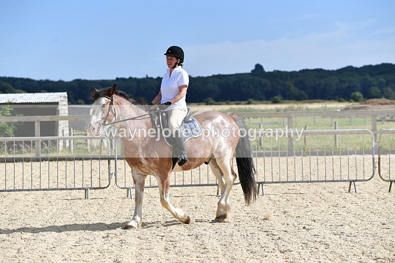 WJ5_5537 - Poles on the Floor