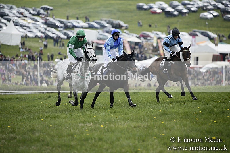 PtP 170417 88 - Old Berks Point-to-Point Lockinge 17/04/17