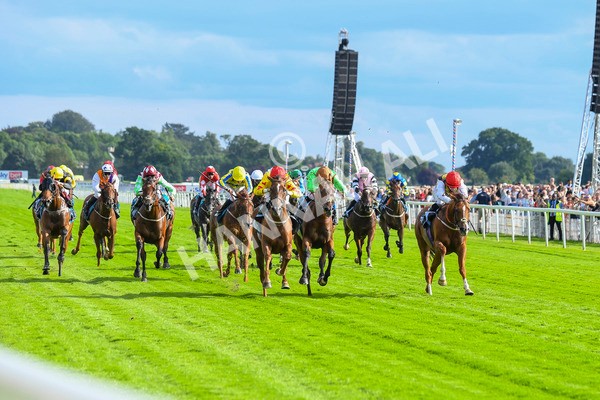 280723-Race 2-Quest For Fun-0195 - Race 2 5.30pm eventmasters.co.uk Handicap