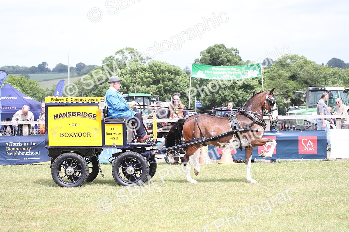 SBM_06981 - Class 16 - Light Trade