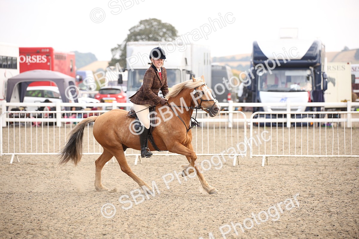 SBM_15999 - Class 408b - Working Veteran 70cm (20+)