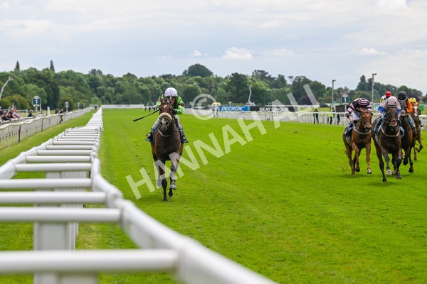 140624-Race 1-Tolstoy-3702 - Race 1 1.50pm Andy Thornton Hospitality Furniture Apprentice Handicap