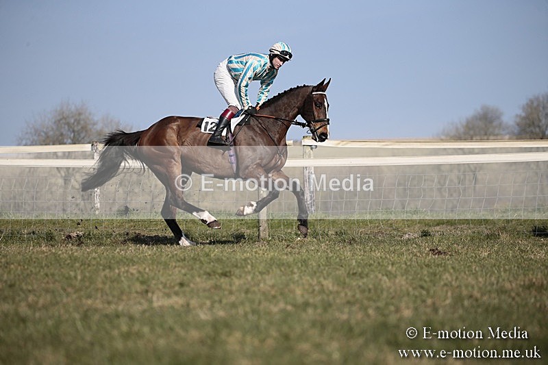 PtP 240218 232 - Vine & Craven Hunt Point-to-Point Barbury racecourse 24/02/18