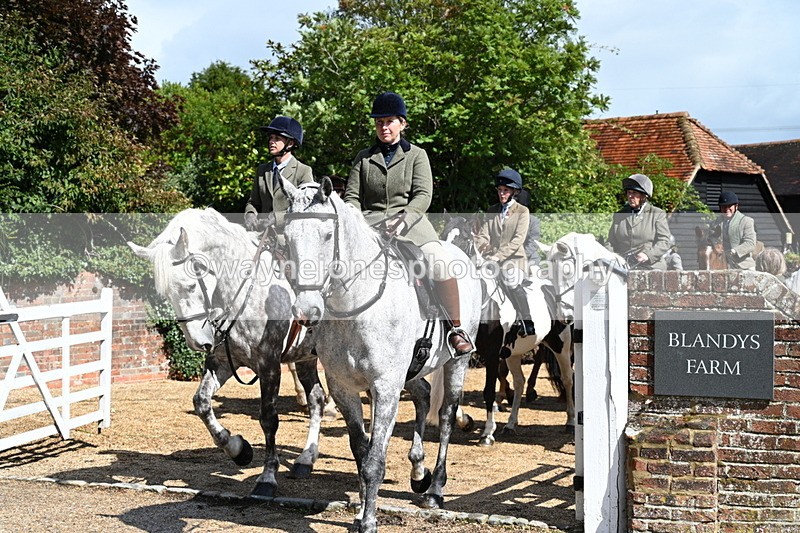 WJ7_7164 - Berks & Bucks at Blandy’s Farm 31-08-25