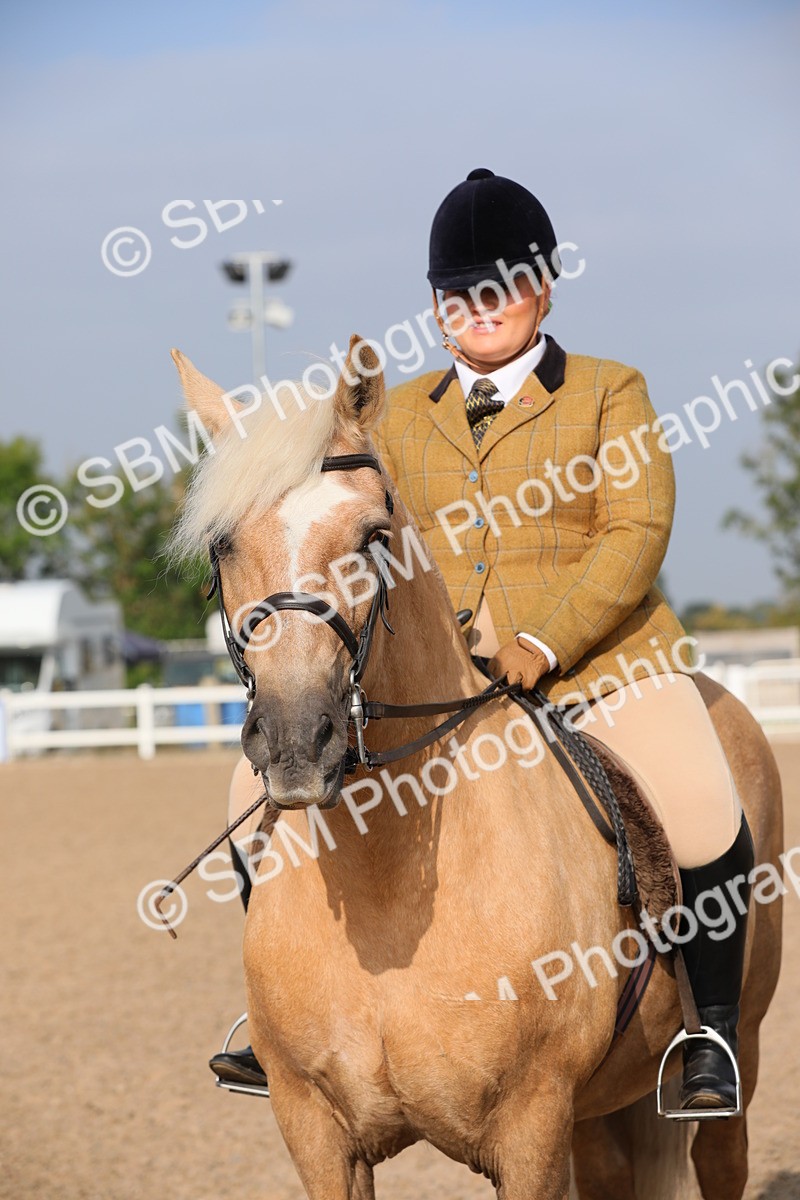 SBM_10177 - Class 302 Ridden M&M -Large Breeds