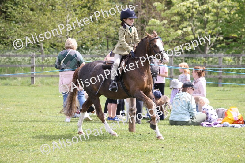 20260426-4051 - Class 33 - Best Pony 14.2hh and Under