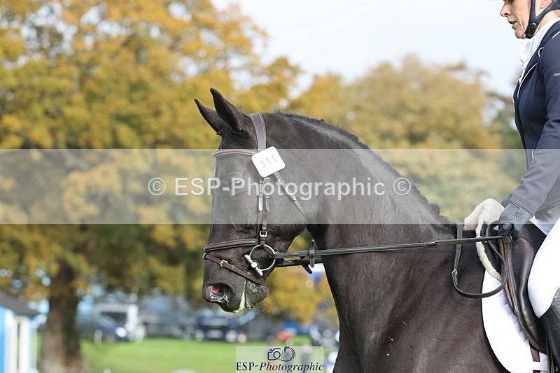 251023A-105649-03266 - D-311-Clare.Davenport