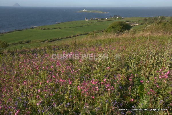 6 - WEST of SCOTLAND