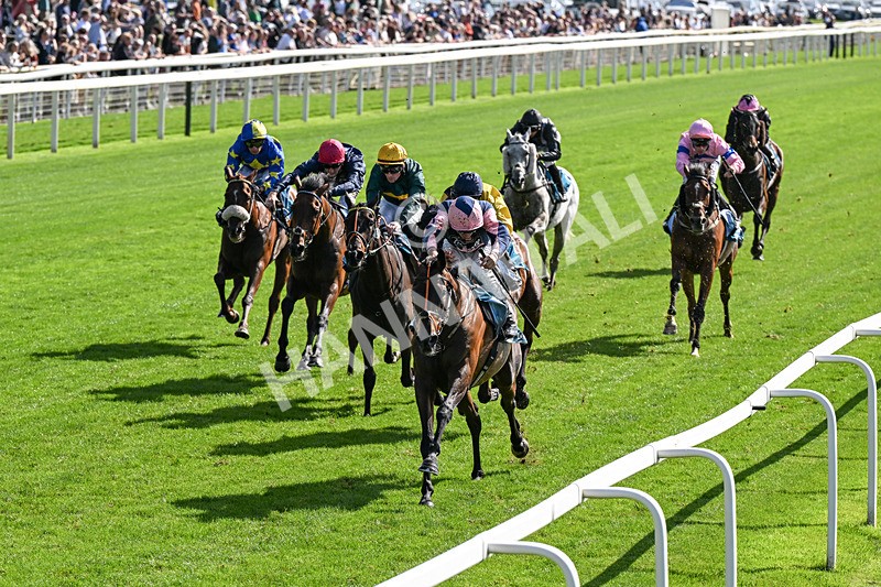 060926-Race 3-Moon Chime-0198 - Race 3 2.40pm Hanson Springs Stayers Handicap