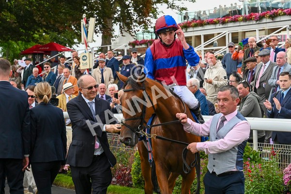 220824-Race 4-Content-6968 - Race 4 3.35pm Pertemps Network Yorkshire Oaks