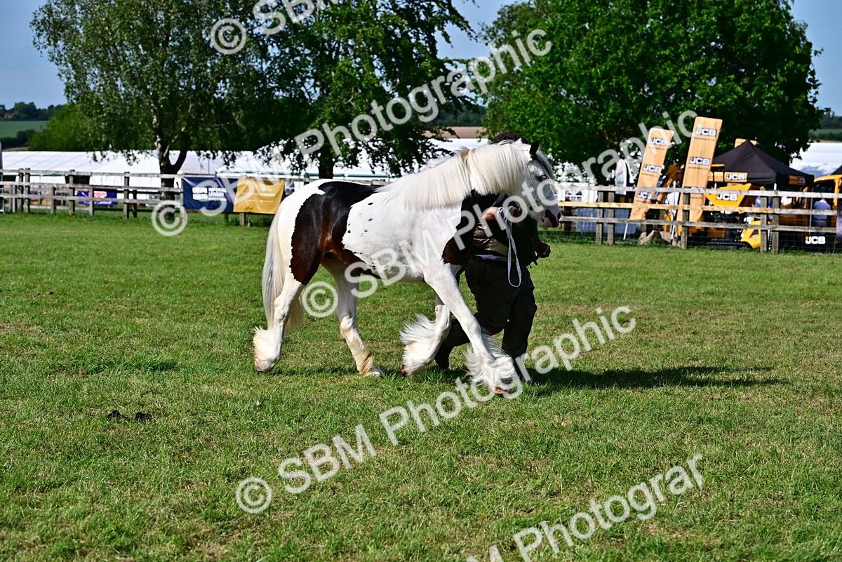 SBM_10039 - Class 63-65 - Traditional Gypsy Cobs In Hand & Ridden
