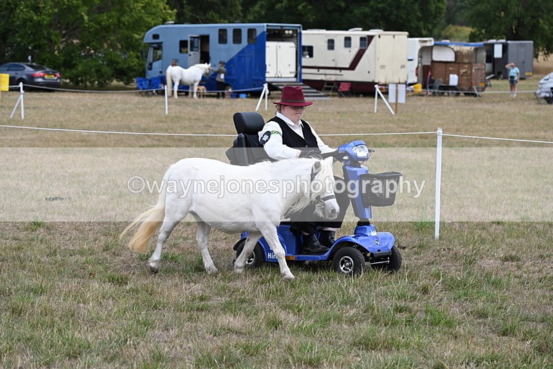 WJ6_6012 - Class 19 In-hand Veterans (Uploaded correct folder)