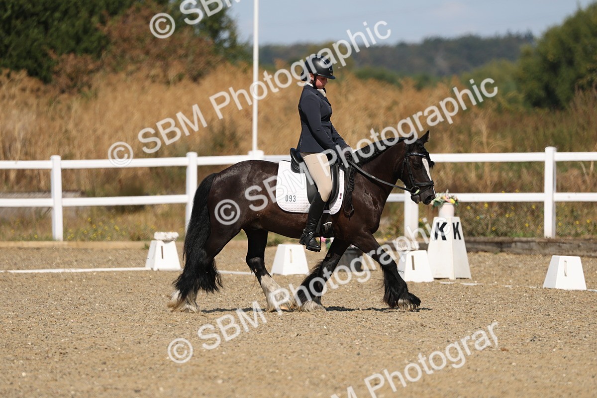 SBM_013531 - Class 1 - P5 Bronze 10.38.12.02