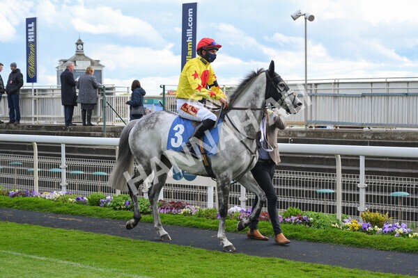 yr22052021r7-20 - Race 7 5.25pm Hudson Quarter York Palace Capital Stakes - Gentleman Amateur Riders Race