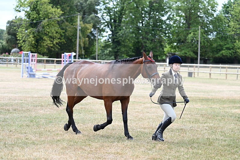WJ7_1899 - Class 4a Prettiest Mare 14.2hh and over hand
